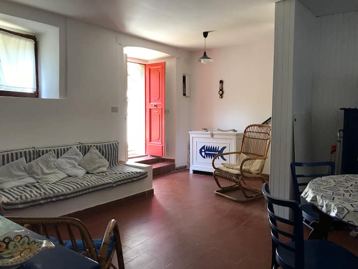 Casa A Torre In Pietra - Capraia Isola