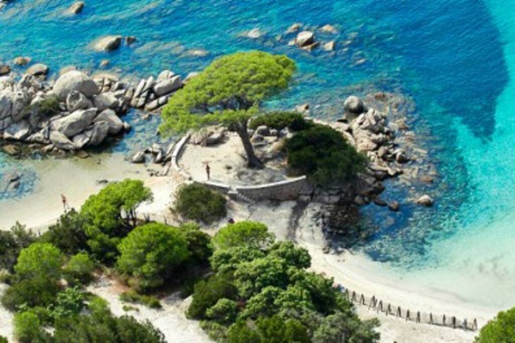 Plage de Palombaggia