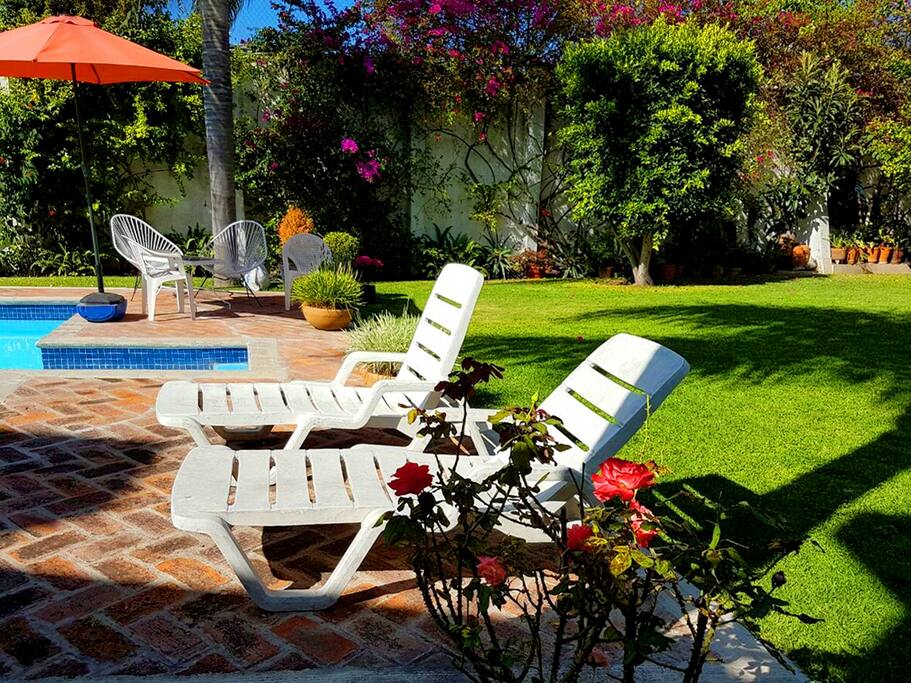 Garden and sunbeds