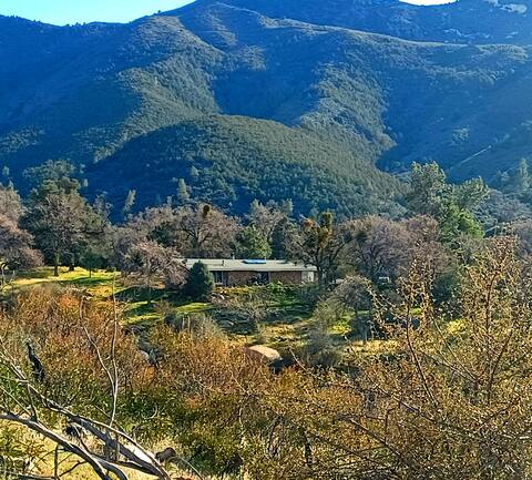 Secluded Oasis with Hot tub n firplace on 40 acres