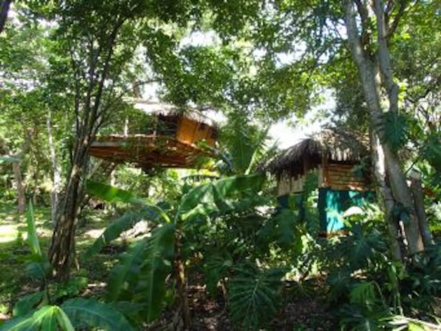 cabane à Rhum