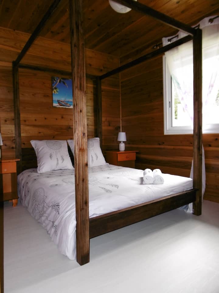Habitación 1