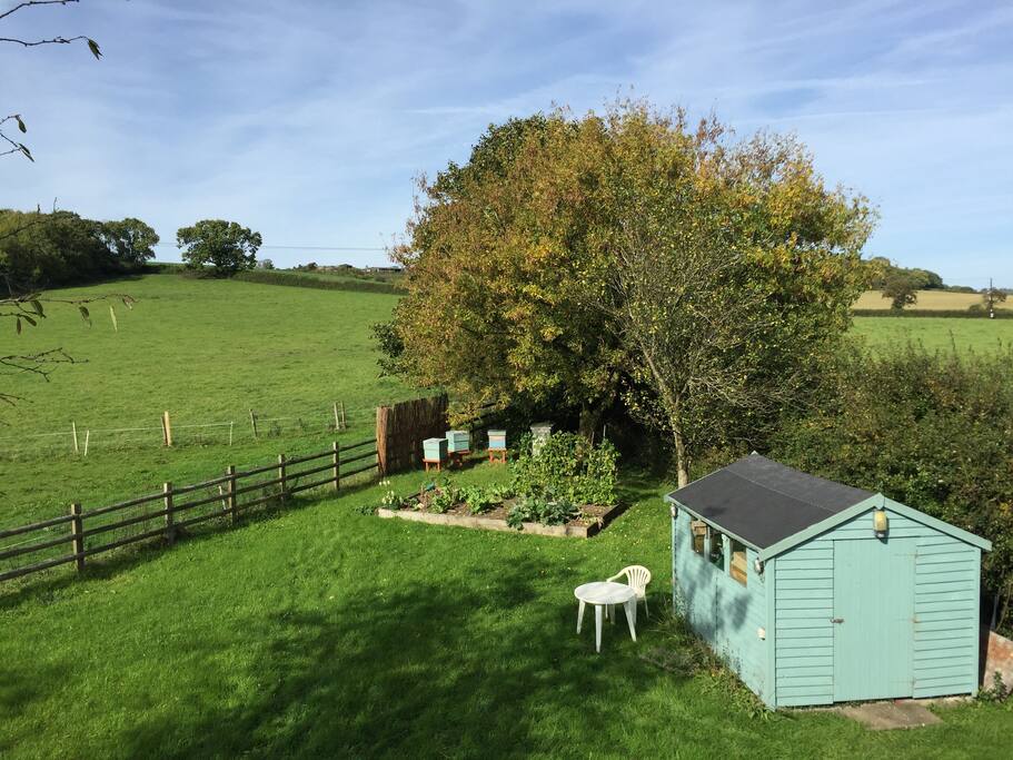 Garden view.