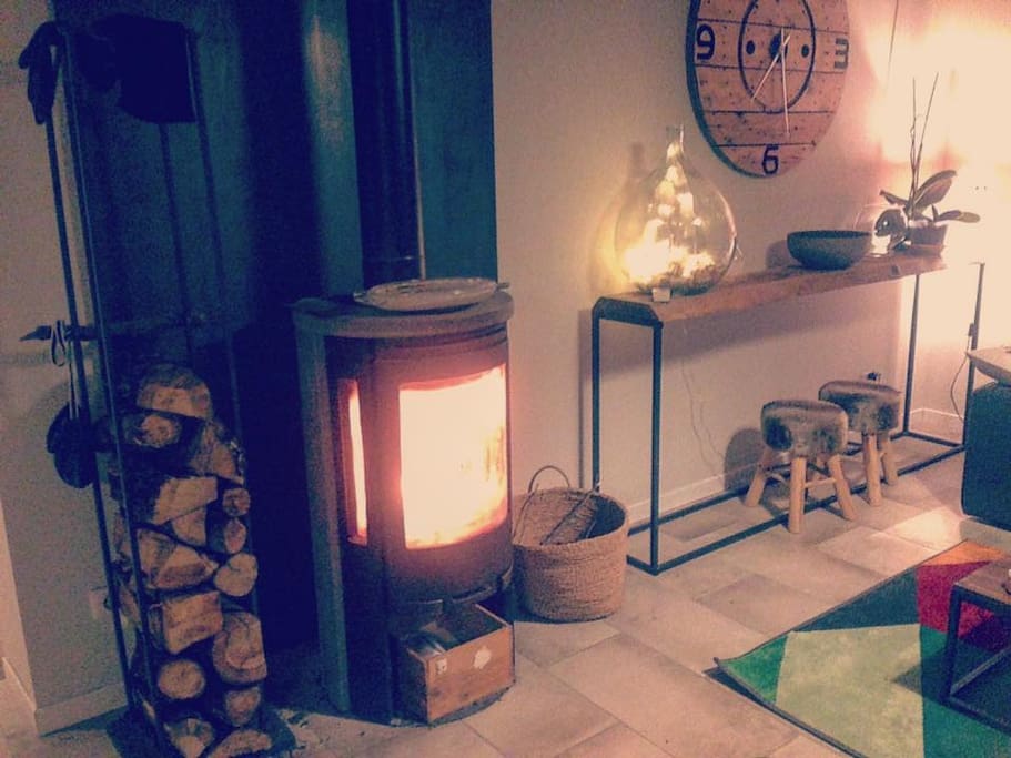 Poêle a bois avec bois de chauffage fourni