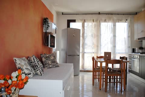Top Airbnb: Book Bilo Malpensa a Gallarate