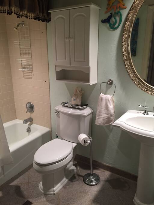 Guest Bathroom