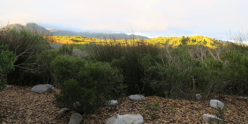 Moonshadow stays, Kommetjie fynbos forest hideaway