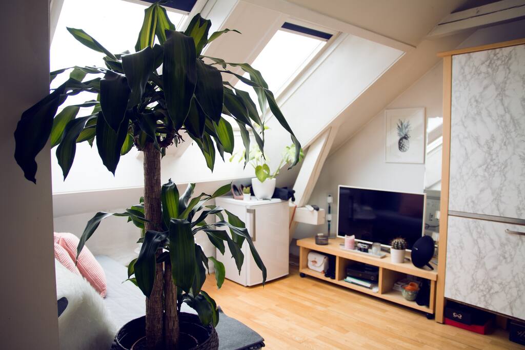 Livingroom w/ TV & Refrigerator