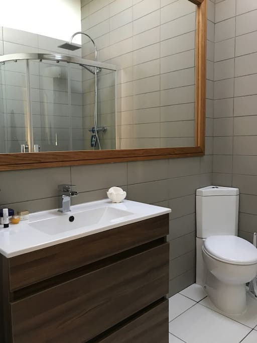 private modern ensuite