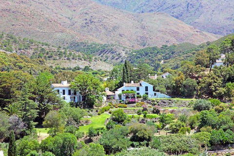 Friends & Family holidays, small weddings, 11bed.