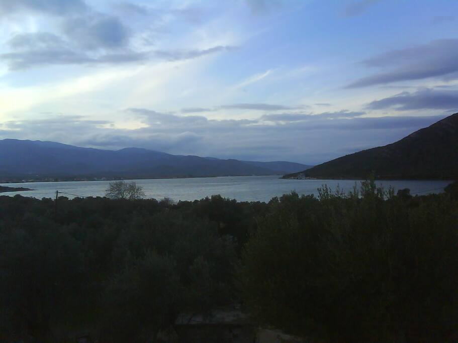 ΒΡΑΔΥΝΗ ΘΕΑ
