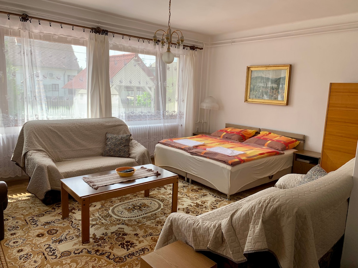 A light-filled room features a spacious bed with colorful bedding, complemented by two armchairs and a central wooden table. Large windows draped with sheer curtains provide a view of the outside. A decorative area rug adds warmth to the floor.