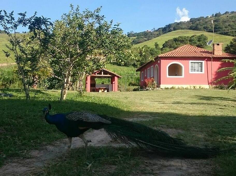 Frente do sitio.