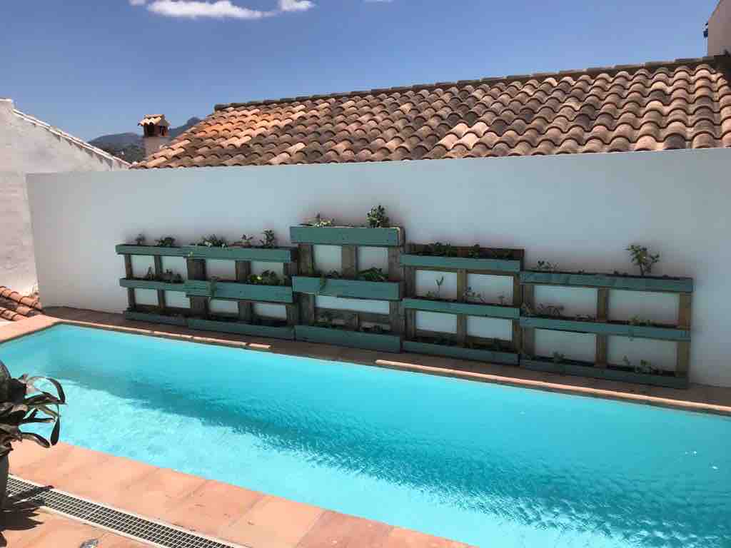 A refreshing pool is showcased with clear blue water, bordered by warm tile flooring. Above the pool, a white wall features several planters, each filled with greenery. A terracotta tiled roof is visible in the background against a bright blue sky.