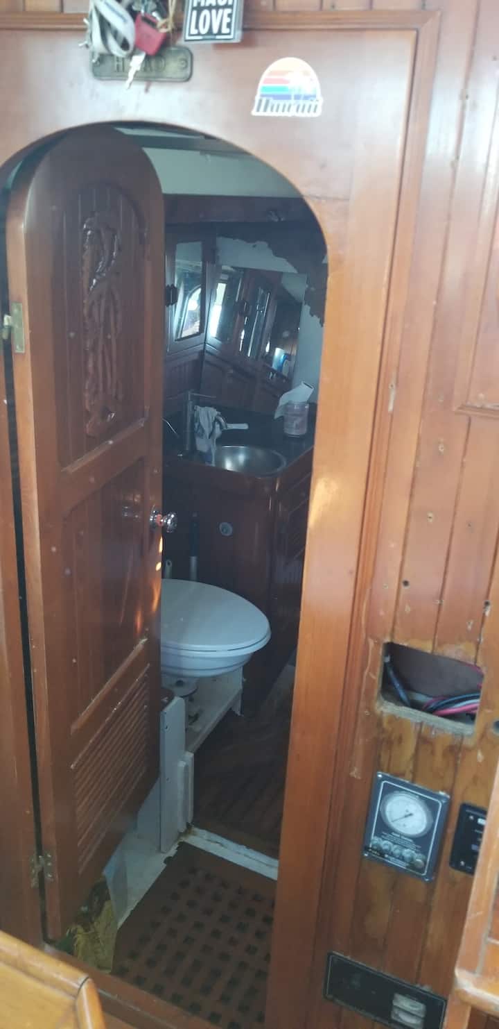 Top 7 Houseboat Rentals In Alaska, USA Updated 2024 Trip101