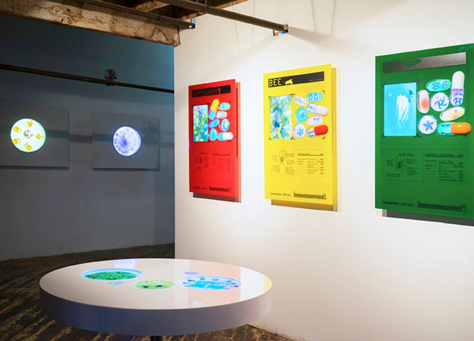 Art at the loft