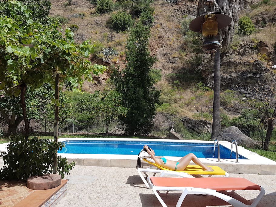 Pool area