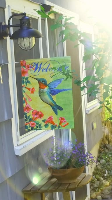 Welcome to the Hummingbird Suite