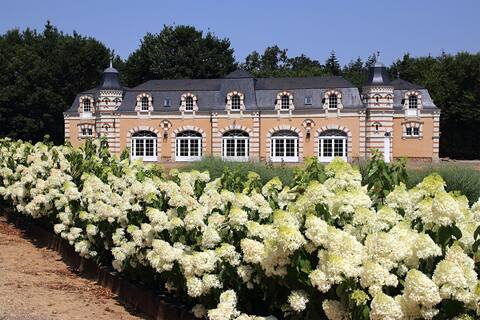Beautiful amazing holiday rental with  pool