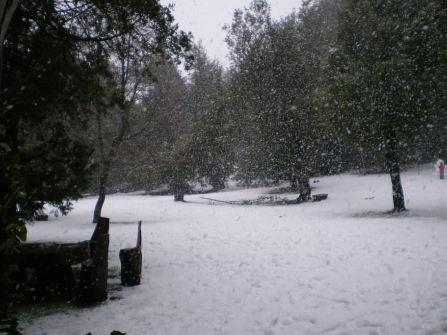 vista del parque