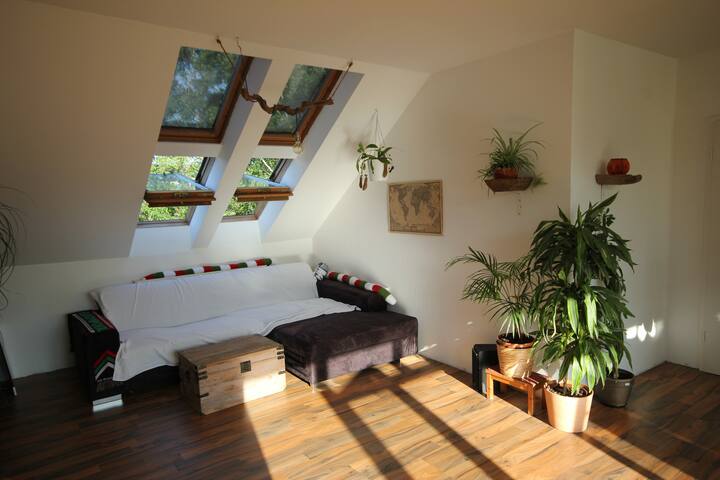 Cozy, bright and central 2 room apartment