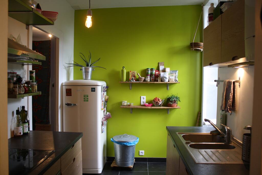Cuisine toute équipée avec vue sur le laurier du jardin.