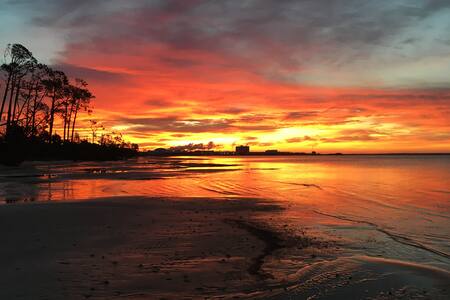 Relaxing Nature Oasis