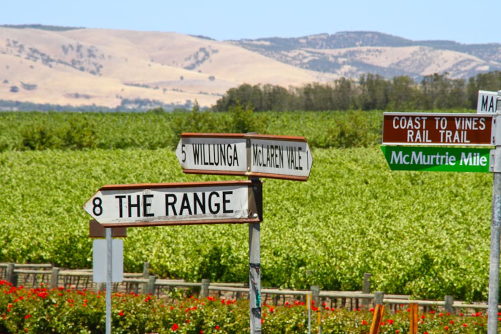 Nestled in the vineyard country.