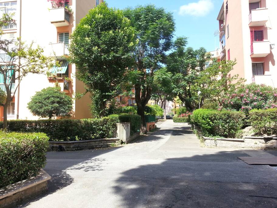 palazzo