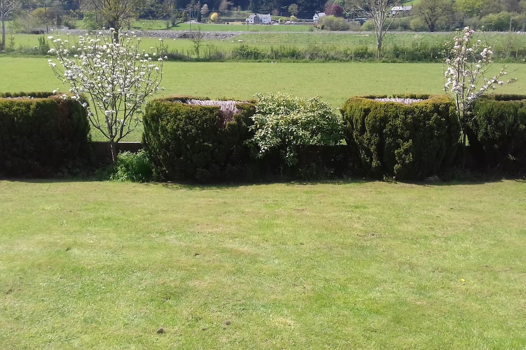 View from the Back Door, Garden and Open Fields.