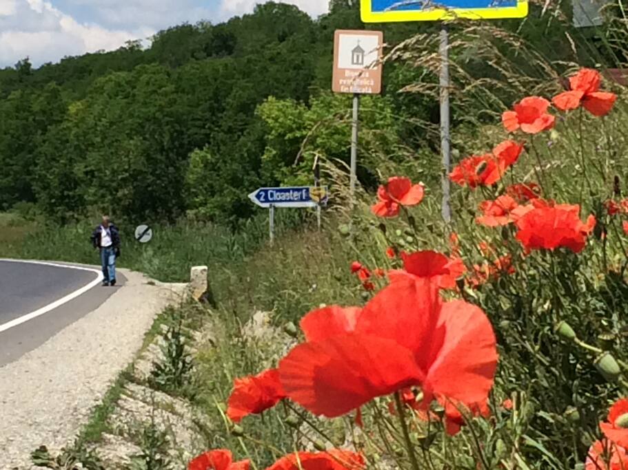The DN13 entrance coming from Brasov