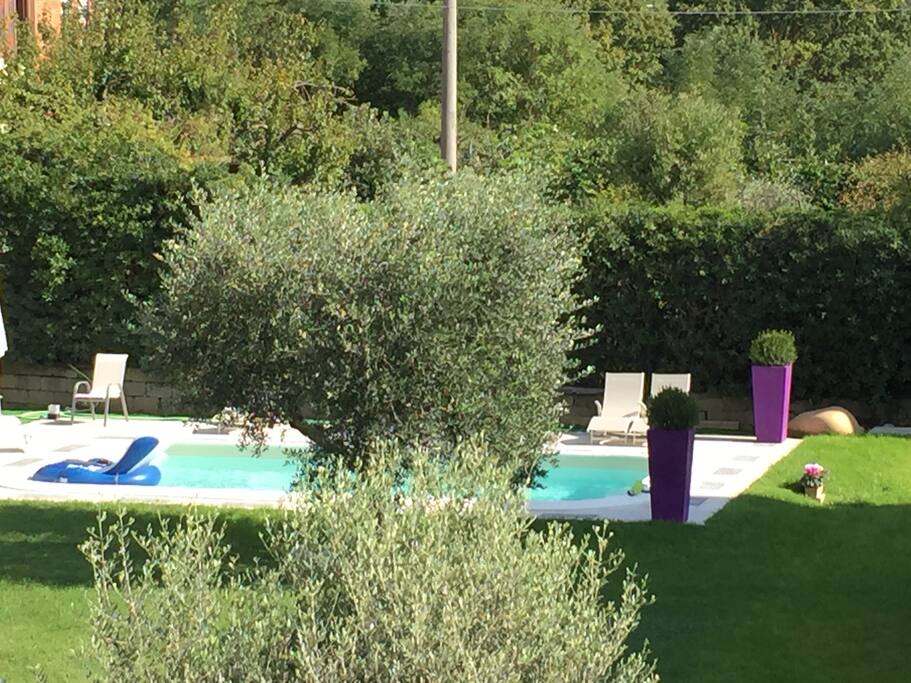 Vista della Piscina e Parco