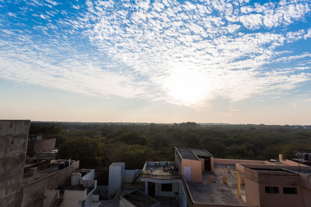 Surrounded by greenery, with amazing view of the skyline