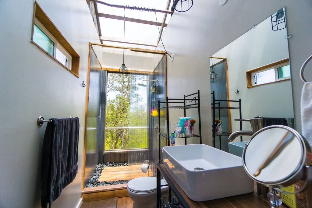 Bathroom with large standing shower and actual real toilet