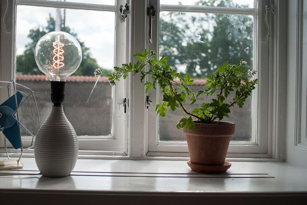 Cool nordic home