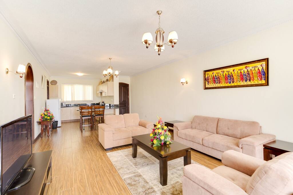Air, well lit living and dining area with open kitchen