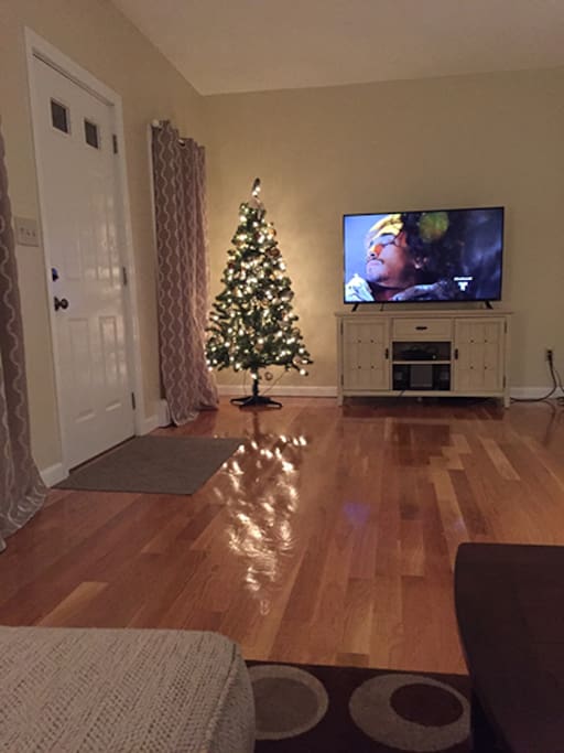 Living room and television.