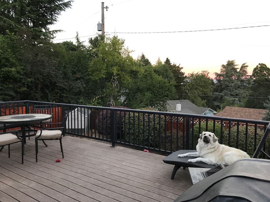 Back patio view with the sweet Scarlett, perfect for viewing the eclipse