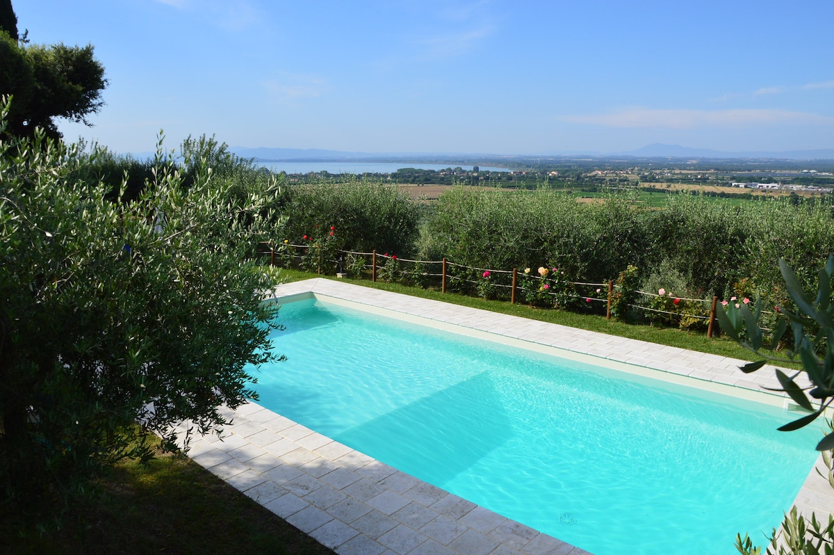 A serene swimming pool is framed by lush greenery and olive trees, offering views of rolling hills and the distant Lake Trasimeno. The pool features clear, inviting water under a bright blue sky, providing a tranquil setting for relaxation.