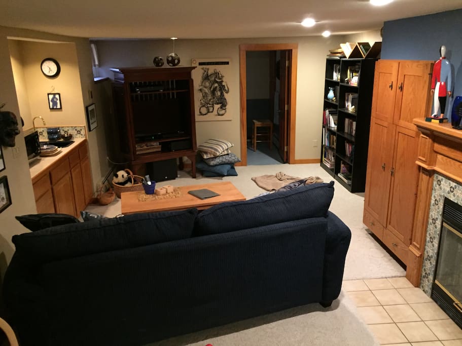 Living area with 42" HD TV and library