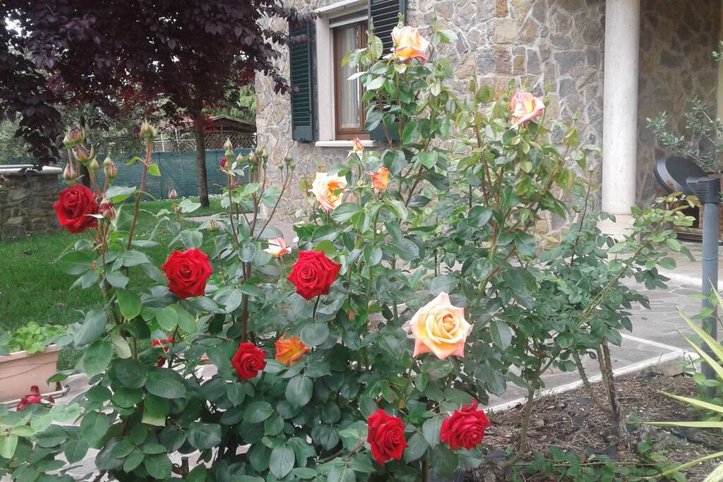 Esterno-Giardino