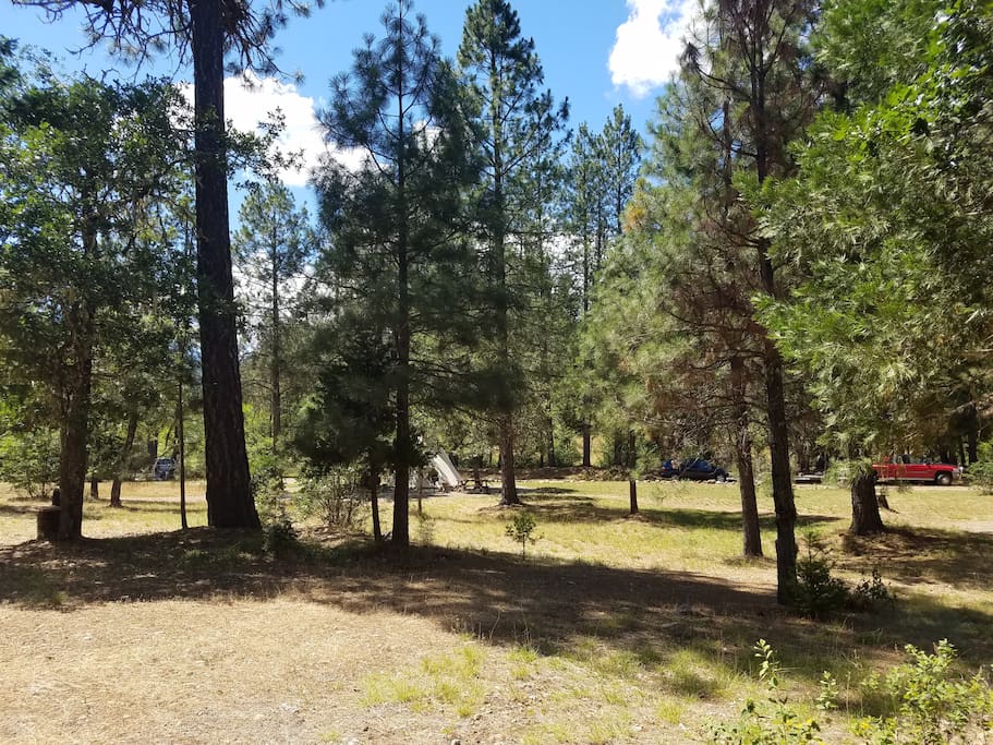 View away from site
