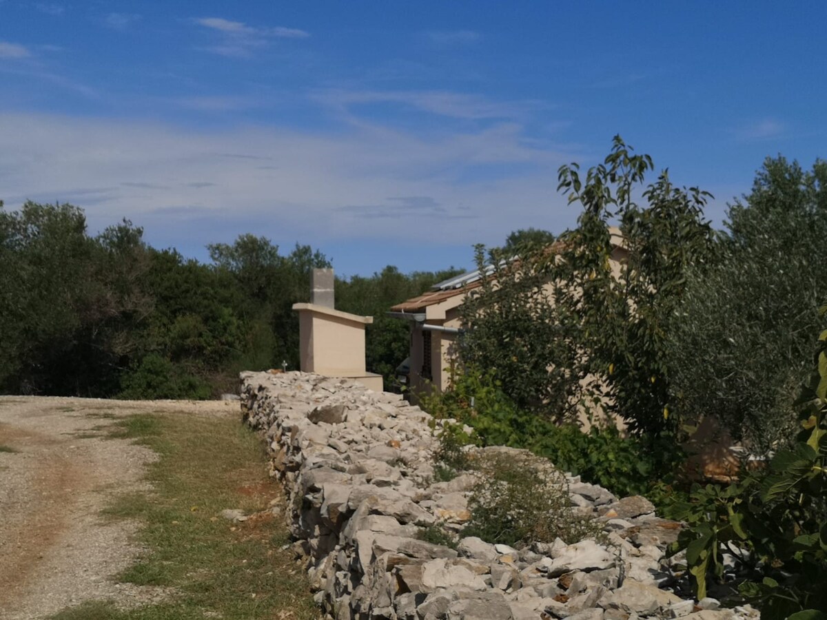 A scenic view showcases a tranquil cottage set among lush greenery. A rustic stone wall lines the path, with olive trees visible in the background. The clear blue sky enhances the peaceful surroundings, providing a sense of seclusion and serenity.