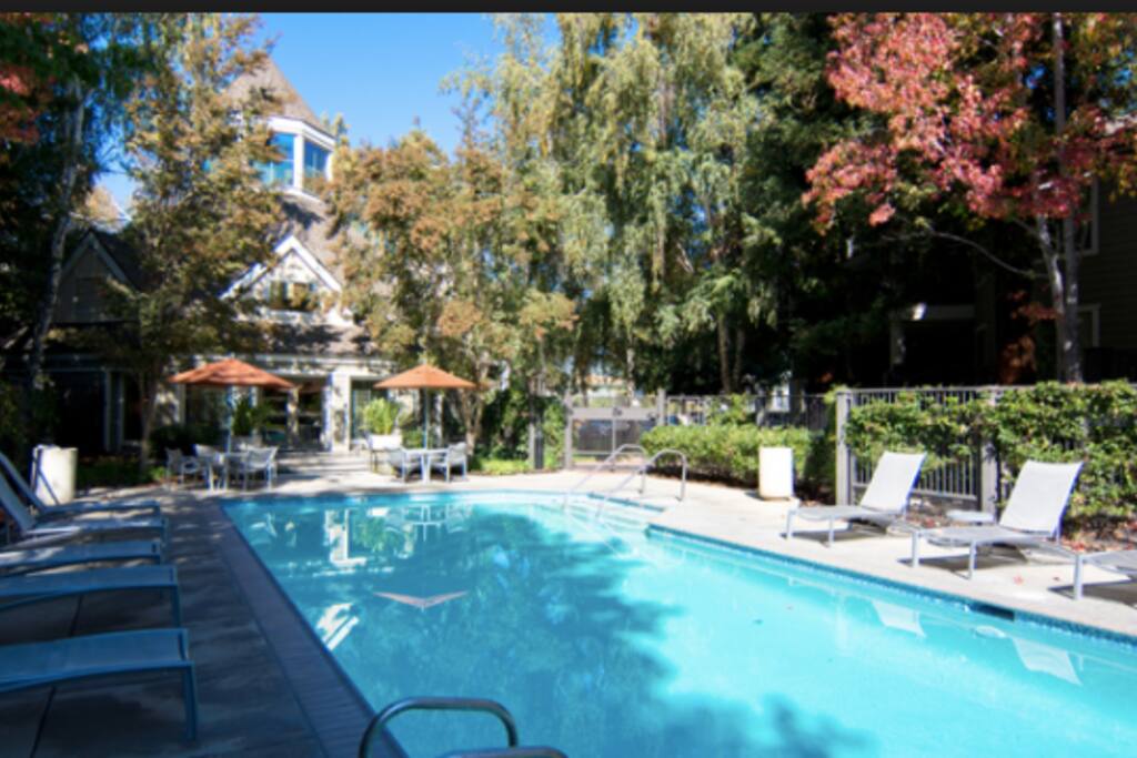 The Pool area.