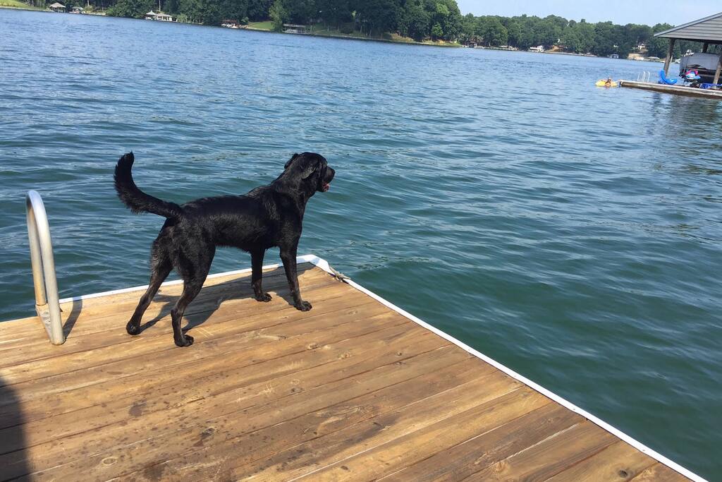 Go Jump in a Lake!!!