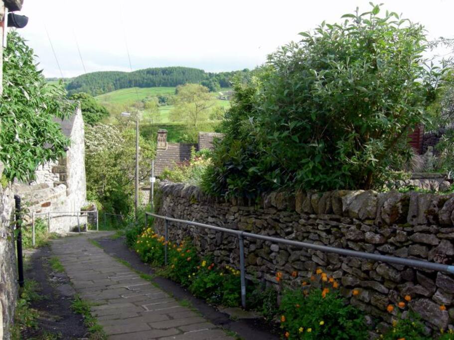 Bank leading to the cottage