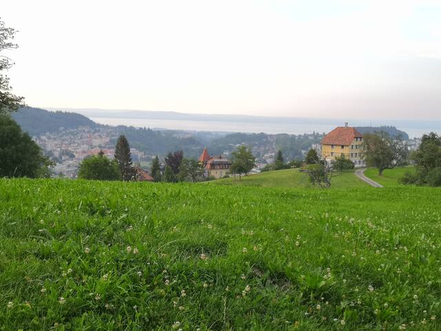 Cozy Double Room Near Wbz Holzweid Hsg Emba Fhs Official Apartment In St Gallen Switzerland 1 Bedroom 1 Bathroom
