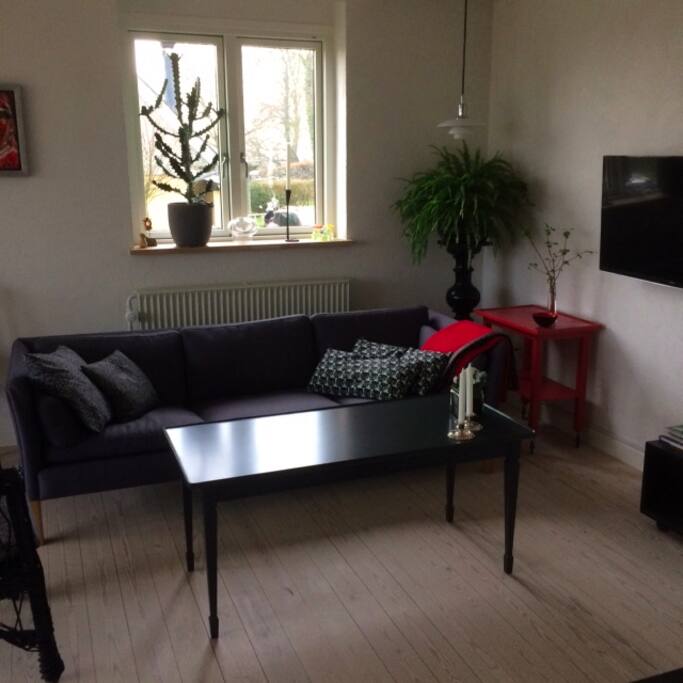 sofa og tv