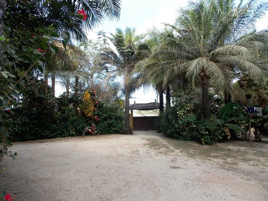Cour d'entrée danppropriétépropriétée