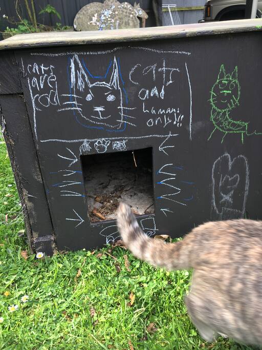 Meet the resident cats. They have their own accomodation.